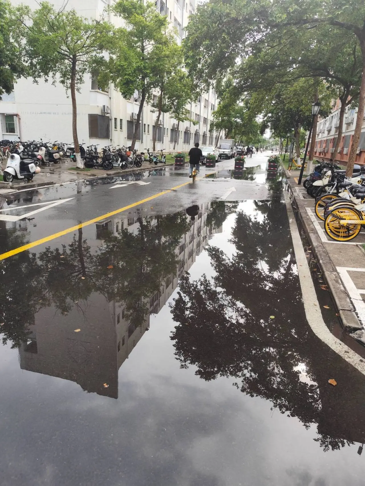 water-accumulation-on-the-roadside